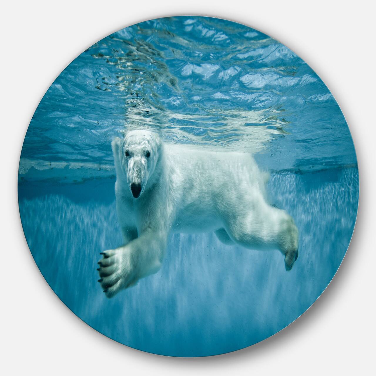 Designart - Polar Bear Swimming under Water&#x27; Disc Large Animal Metal Artwork